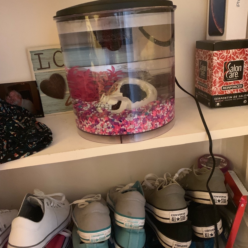 2 Gallon Fish Tank - Picture 3 of 3